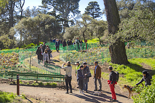 View of trail in Golden Gate Park, with a dozen or so people.