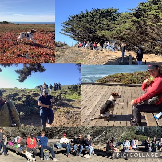 Pictures of hike at Ft. Funston in San Francisco.